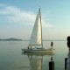 Balaton-vizpart.jpg