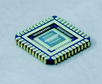 mikrochip