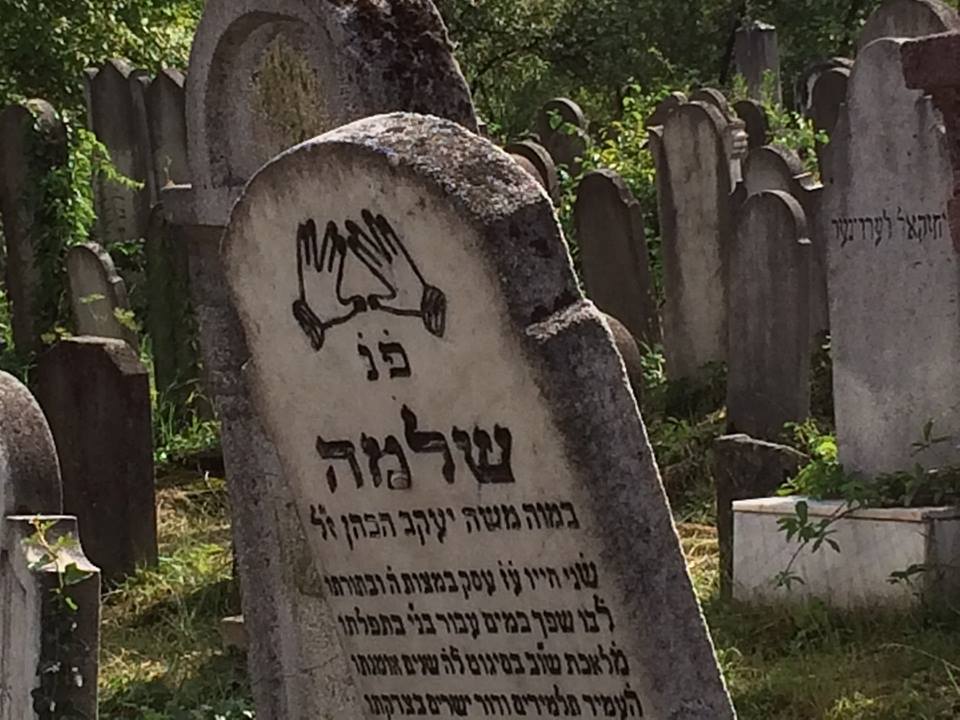 4 - Máramarosszigeti zsidó temető 2