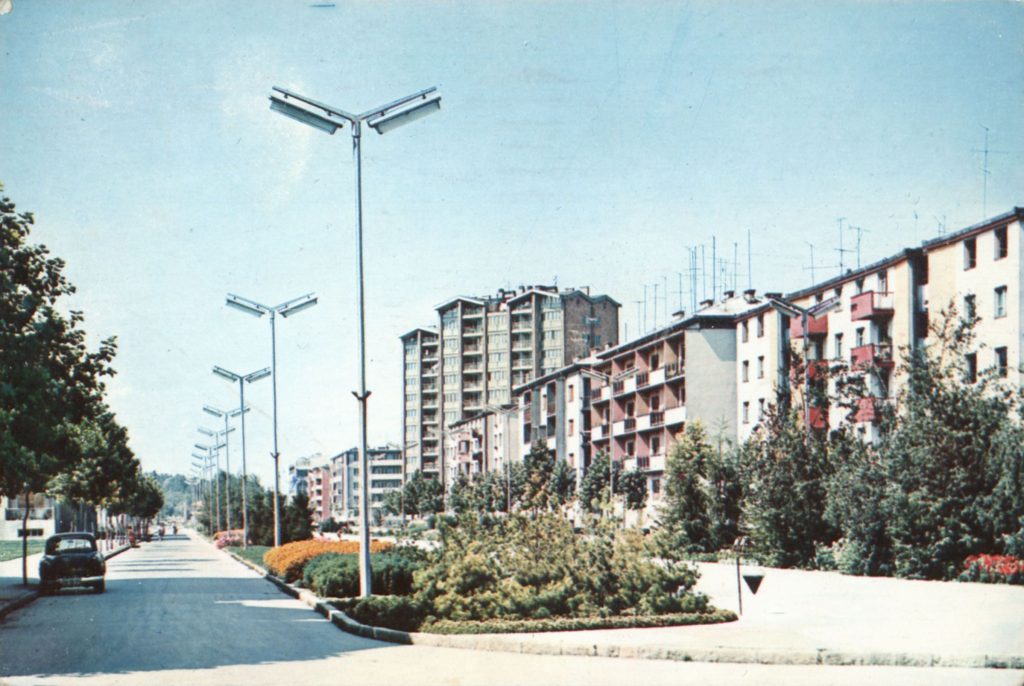 sugarut 1966