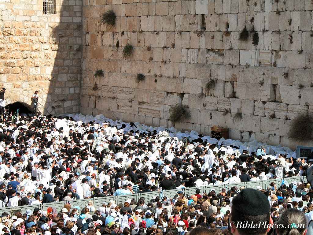 priestly_blessing_at_western_wall_tb101303182