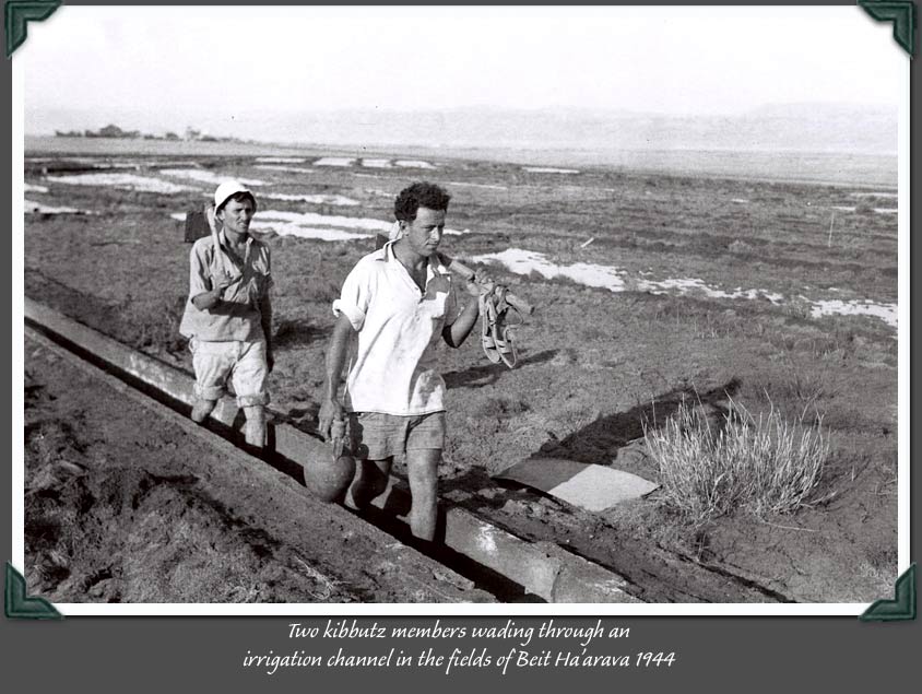 Földművesek az öntözőcsatornában - Bet Arava, 1947.jpg