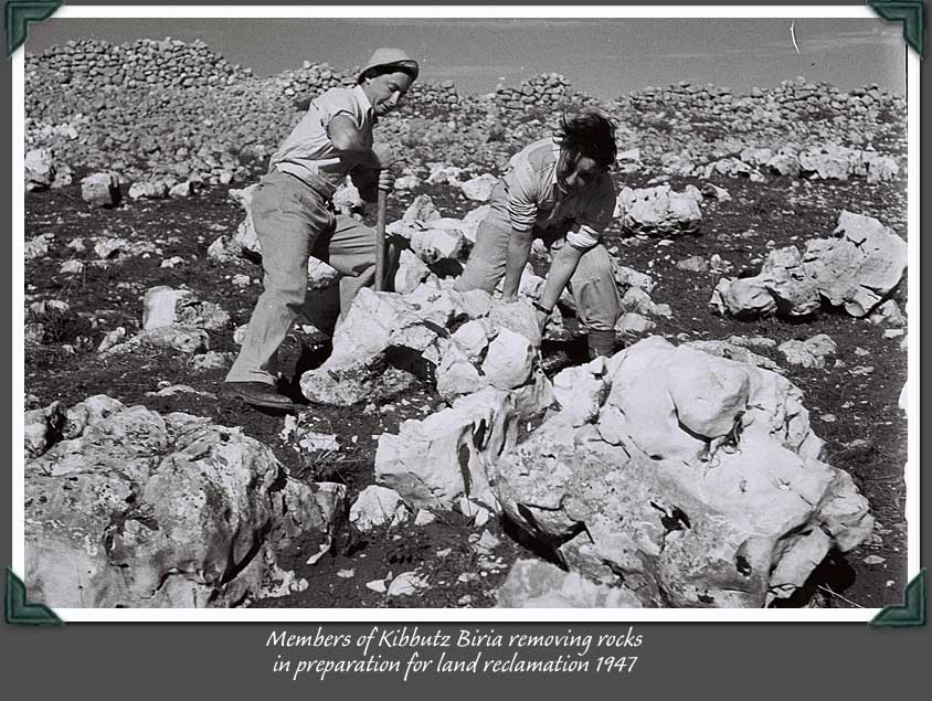 Küszködés a sziklás földdel - Biria kibuc 1937.jpg