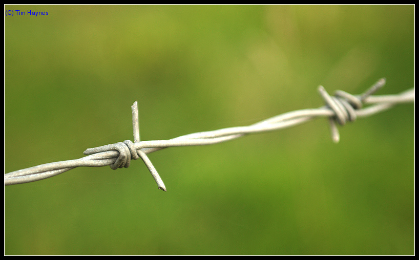 half_barbed-wire_fence