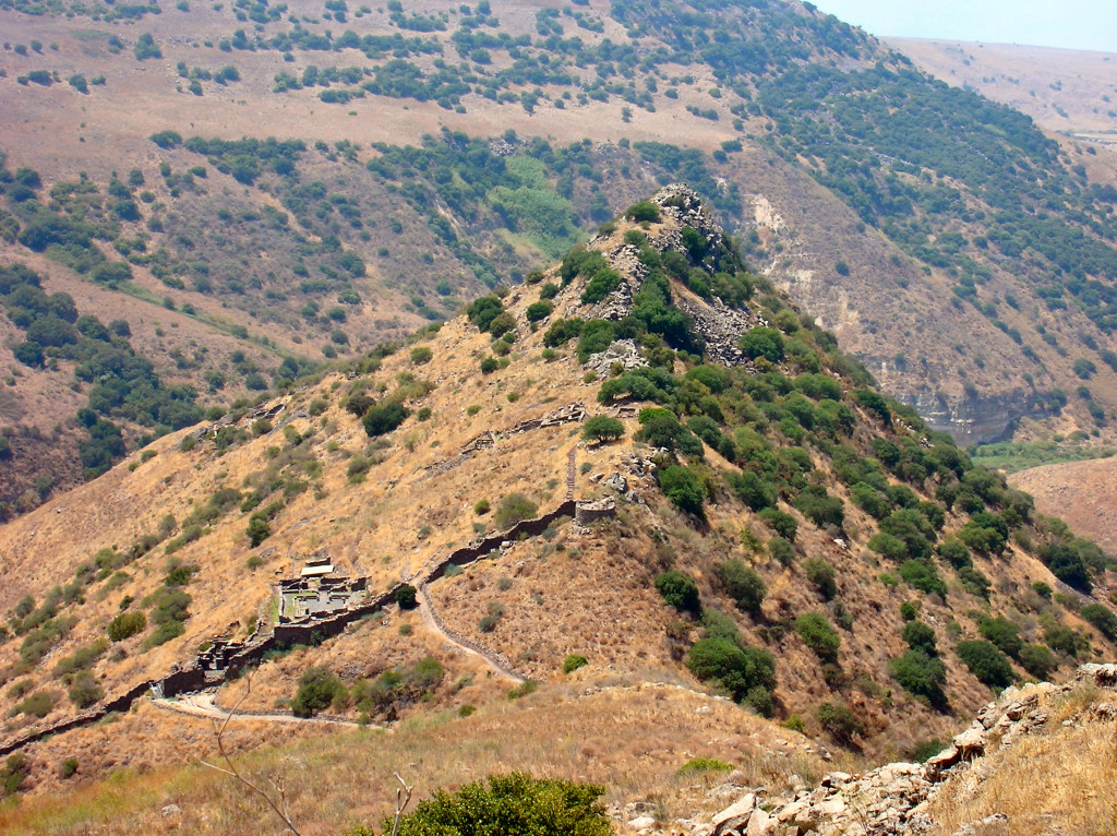 Golan_Heights_-_Gamla_view