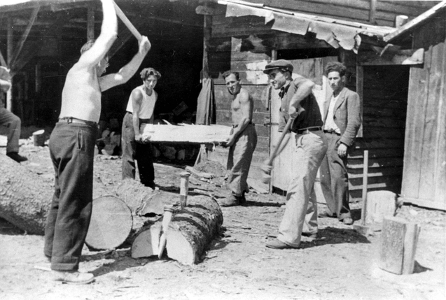 14 - Életkép a feldafingi táborból - 1945 (Fotó Yadvashem.rog)