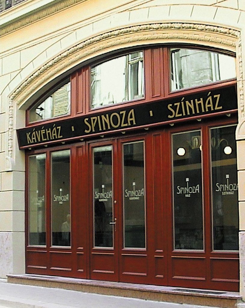 spinoza