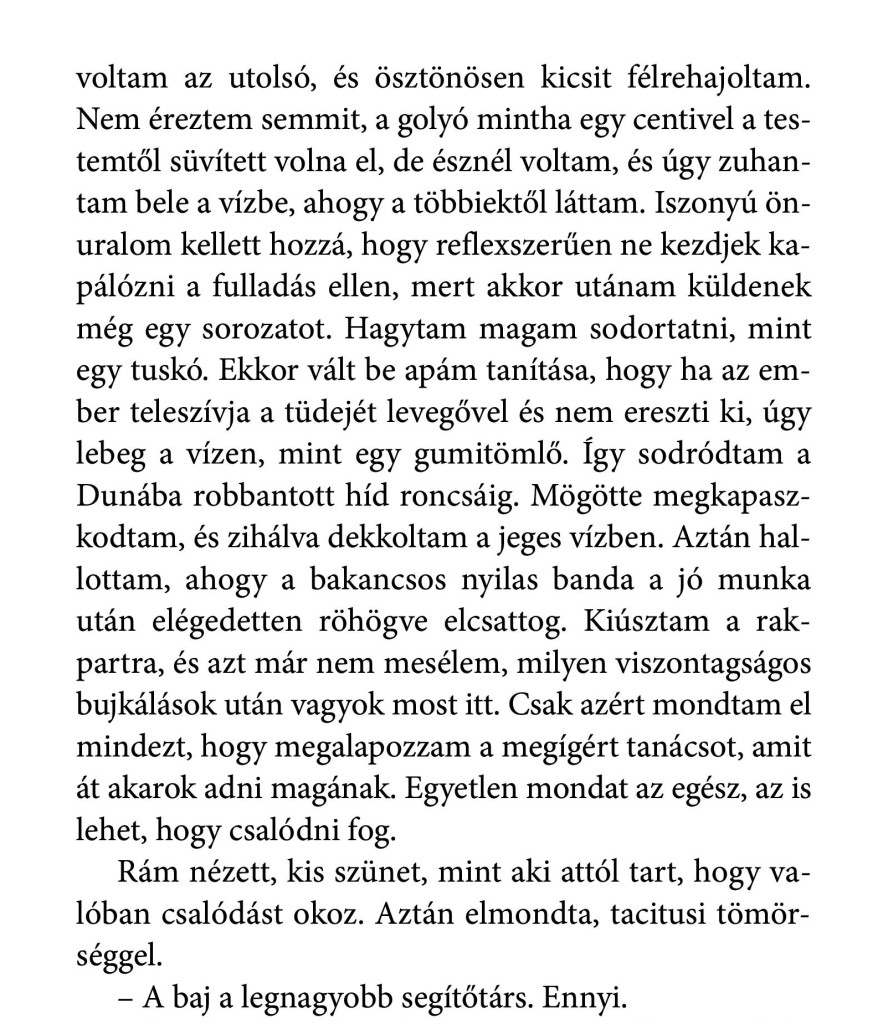 A_kivegzes_nyomdai 63-page-001