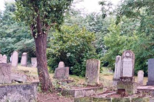 Lauderes diákok hozták rendbe a siófoki zsidó temetőt | Szombat Online