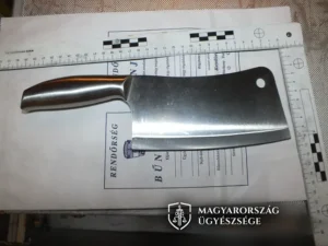 Letöltendő börtönt kértek a támadóra, aki húsvágó bárddal akart „zsidót” ölni Egerben
